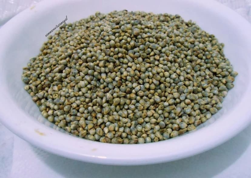 Green Millet (Bajra)